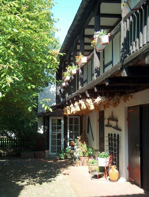 Hotel Garni & Oma'S Heuhotel 'Pension Zur Galerie' 바르비 외부 사진